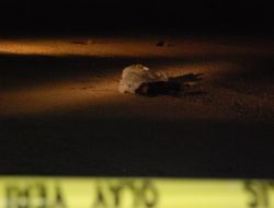 Boşanma Davası Açtığı Eşini Boğazından Bıçaklayarak Öldürdü