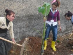 Silopi’de Hem Kursiyerleri Fidan Dikti