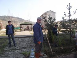 Yibo Öğrencileri Fidan Dikti