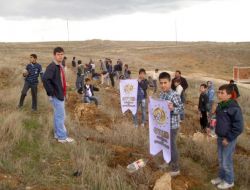 Oyçed Öğrencileri Batı Raman’a 500 Fidan Dikti