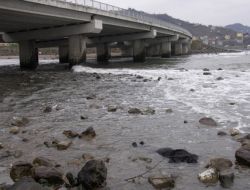 Görele Sahilinde Kadın Cesedi Bulundu (2)