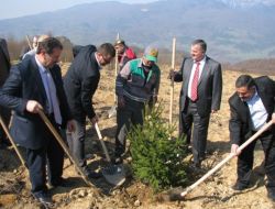 Akyazı'da Bal Ormanı Oluşturulacak