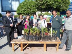 Finike'de Orman İşletme Ücretsiz Fidan Dağıttı