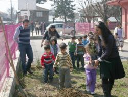 Minik Eller Ağaç Dikti