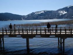 Güzel Havayı Fırsat Bilenler Abant Tabiat Parkı'na Akın Etti