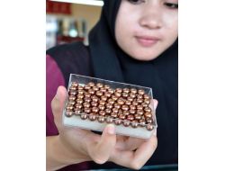 Endonezya'nın Siyah İncisi Zengin Ülkelerin Gözdesi