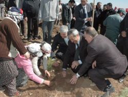 Kırşehir’de Bin 100 Dönüm Araziye 224 Bin Fidan Dikildi