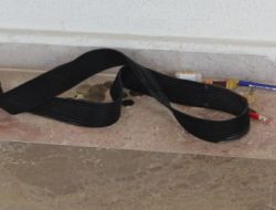 YGS'YE GİREN ADAYLAR