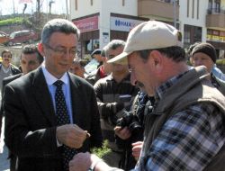 YEŞİL BİR BEYPAZARI İÇİN FİDAN DAĞITTI