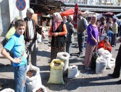 Toptancıya Kızdılar, Vatandaşa 2 Liradan Kestane Sattılar