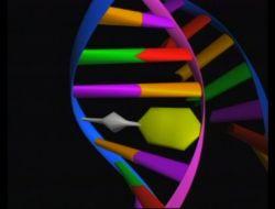 Beyin Kanserine Sebep Olan 3 Gen