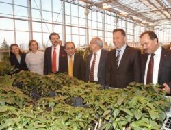 Biyom, Türkiye’nin Tohum Üretiminde Dışa Bağımlılığı Azaltacak