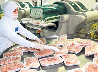 Rusya kotaları düşürdü!!