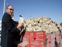 Burdur Şeker Fabrikası'nda Pancar Alımı Başladı