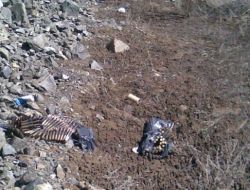 Erzincan'da 108 Uçak Savar 6 Havan Mühimmatı Bulundu