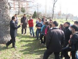 Altınyayla’da Nevruz 'Fidanlarla' Kutlandı