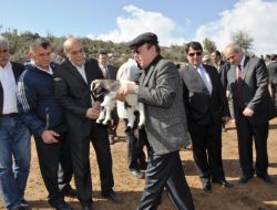 Vali Oğuz: Kıl Keçisi Islah Projesi Köyleri Kalkındıracak