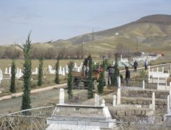 Yeniçubuk’ta Mezarlıklar Ağaçlandırılıyor