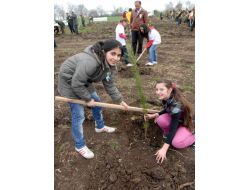 Ağaçlandırma Seferberliğinde Öğrenciler 22 Bin 500 Fidan Dikti