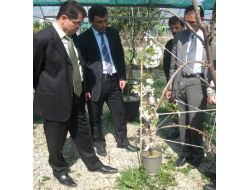 ‘mobil Meyvecilik’ Projesi İle Hem Kalite Hem De Gelir Artacak