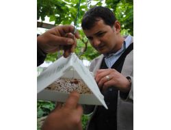 BİYOLOJİK MÜCADELE DESTEKLEMELERİ