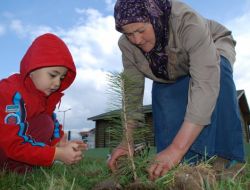 Anaokulu Öğrencileri, Anneanne Ve Babaanneleriyle Çam Fidanı Dikti