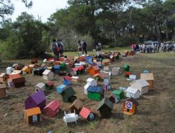 Öğrenciler, Sorgun Çamlığı'ndaki Kuşlar İçin 350 Kuş Evi Yaptı