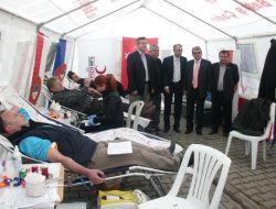 Alaplı Düzenlenen Kan Bağışı Kampanyasında 106 Ünite Kan Toplandı