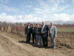 Yılda Yaklaşık 180 Bin Meyve Fidanı Toprakla Buluşuyor