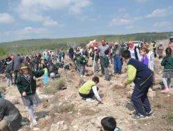 Minik Öğrenciler Bal Ormanına Fidan Dikti