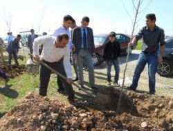 Silopi Kaymakamlığı, 20 Bin Fidanı Toprakla Buluşturdu