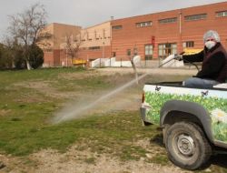 Polatlı Belediyesi Kene Ve Uçkun İlaçlaması Çalışması Başlattı