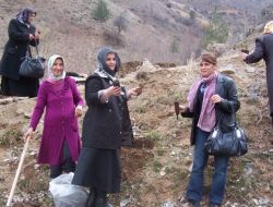 Kent Konseyi Kadın Çalışma Grubu Üyeleri Fidan Dikti