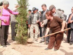Şehitler Anısına Fidan Dikildi