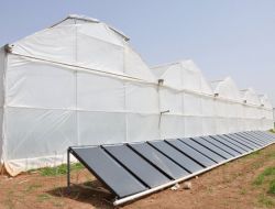 Sercalığın Geliştiği Nusaybin'de Seralar Güneş Enerjisi Sistemi İle Donatılıyor