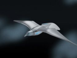 Robot Kuş ‘smartbird’ Gerçek Bir Martı Gibi Uçabiliyor