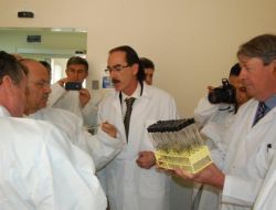 "Türkiye Patates Tohumu İhraç Eden Ülke Olacak"