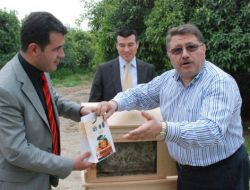 Gurmeler Narenciye Balını Sevdi