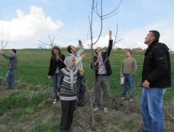 İlkbaharın Gelmesiyle Yozgat’ta Meyve Bahçelerinde Budama Çalışması Başladı