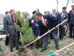 Erenköy'ün Yeşillenmesine Sarraflardan Destek