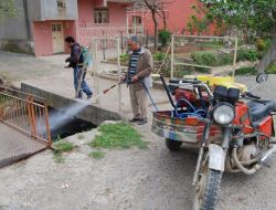 Kozan’da Haşereye Karşı Larva Mücadelesi Başladı