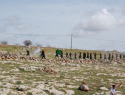 Doğum Yıl Dönümünde Öcalan'ın Evine Akın Ettiler