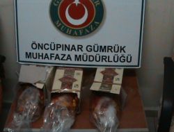 Öncüpınar'dan Bu Kez 400 Akvaryum Balığı Kaçırmak İstediler