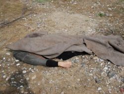 Hat Bakım Lokomotifinin Çarptığı Demiryolu İşçisi Hayatını Kaybetti.