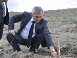 Isparta’da Boş Arazilere Badem Ağaçları Dikiliyor