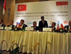 ENDONEZYA İLE YENİ DÖNEM