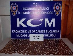 Sahte Sikkelerin Arasına Karıştırdıkları Altınla Dolandırıcılık Yaparken Yakalandılar