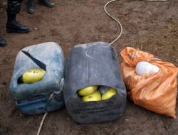 Başkale'de 55 Kilo Esrar Ele Geçirildi