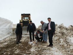Muş’ta 6 Aydır Kapalı Olan Ilıca Grup Köy Yolu Açılıyor