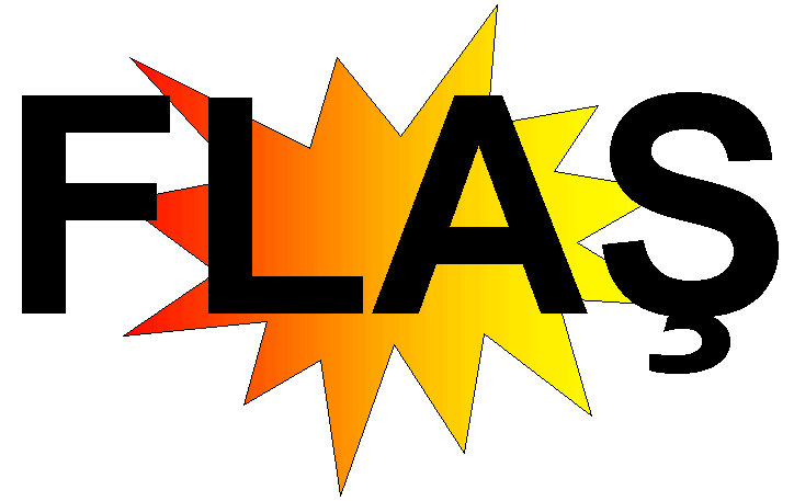 Fransa askeri operasyona başladı